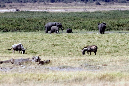 Kenia (146)